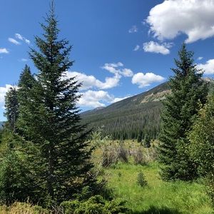 Meet your Posher, Chloe